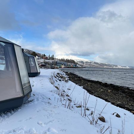 Elvegard Fjordcamp Otel Grov Dış mekan fotoğraf