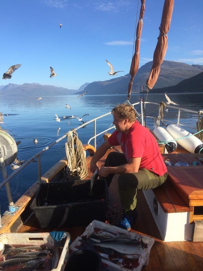 Elvegard Fjordcamp Otel Grov Dış mekan fotoğraf