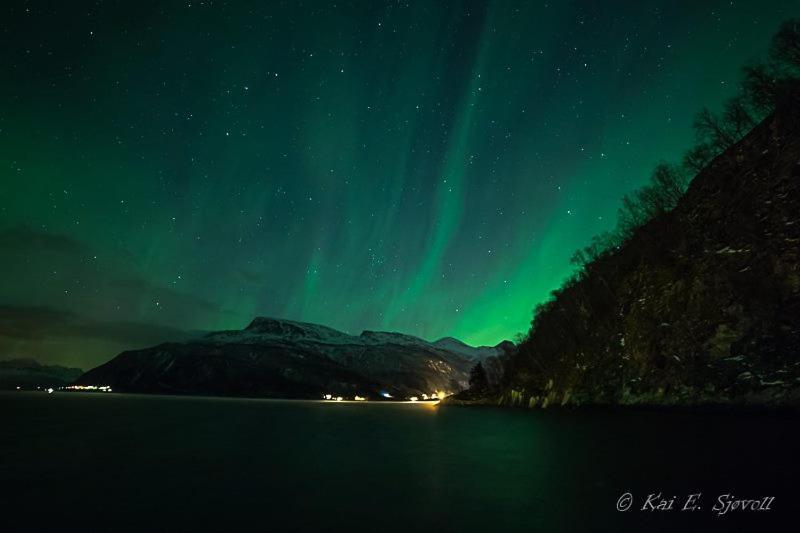Elvegard Fjordcamp Otel Grov Dış mekan fotoğraf